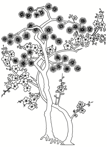 Pine Tree Print Coloring Page